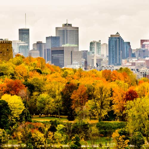 Oportunitats de negoci a Canadà
