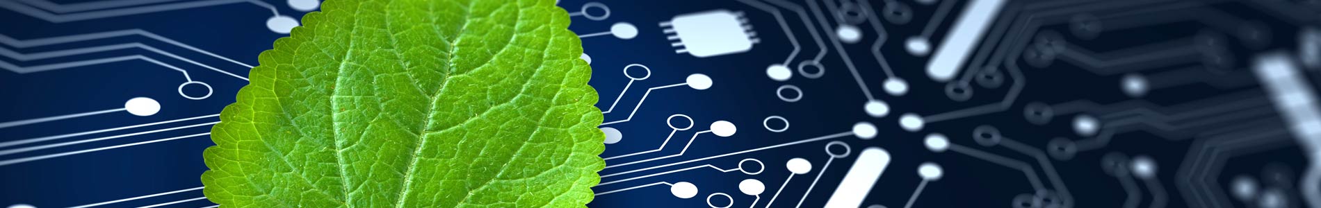 Grants for technological and green innovation